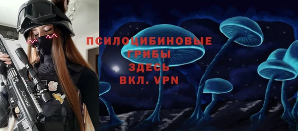 мдма Заводоуковск