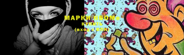 шишки Заволжск
