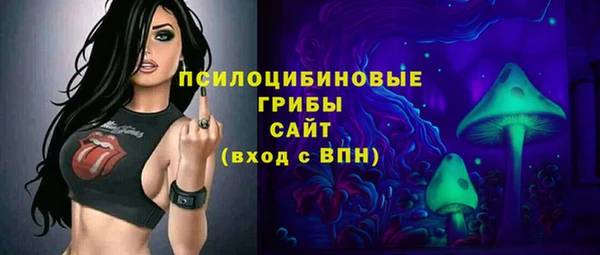 шишки Заволжск