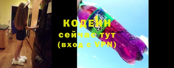 шишки Заволжск