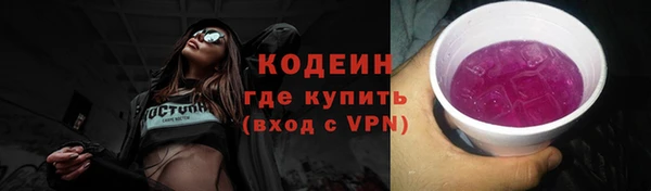 шишки Заволжск