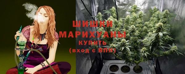 шишки Заволжск