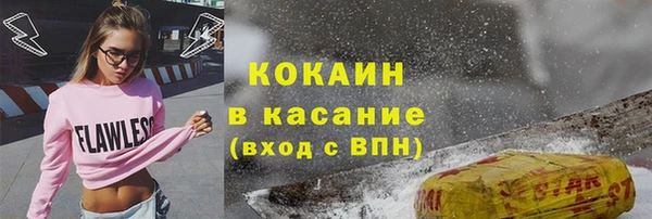 шишки Заволжск