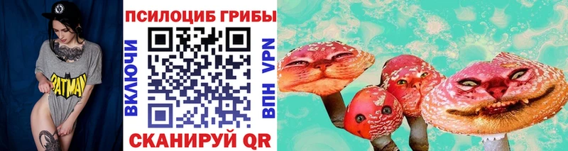 Галлюциногенные грибы Psilocybe  blacksprut вход  Малоархангельск 